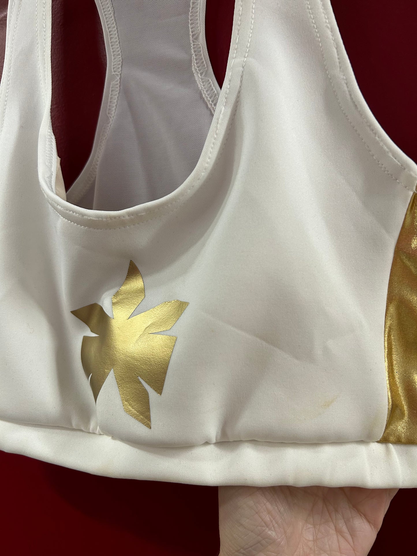Small Power Princess Gym Bra Crop