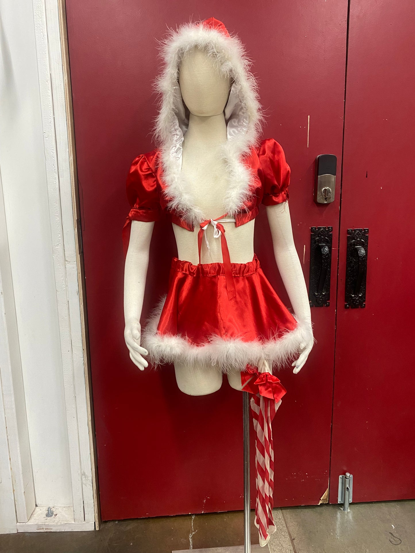 Small Santa's Little Helper Costume