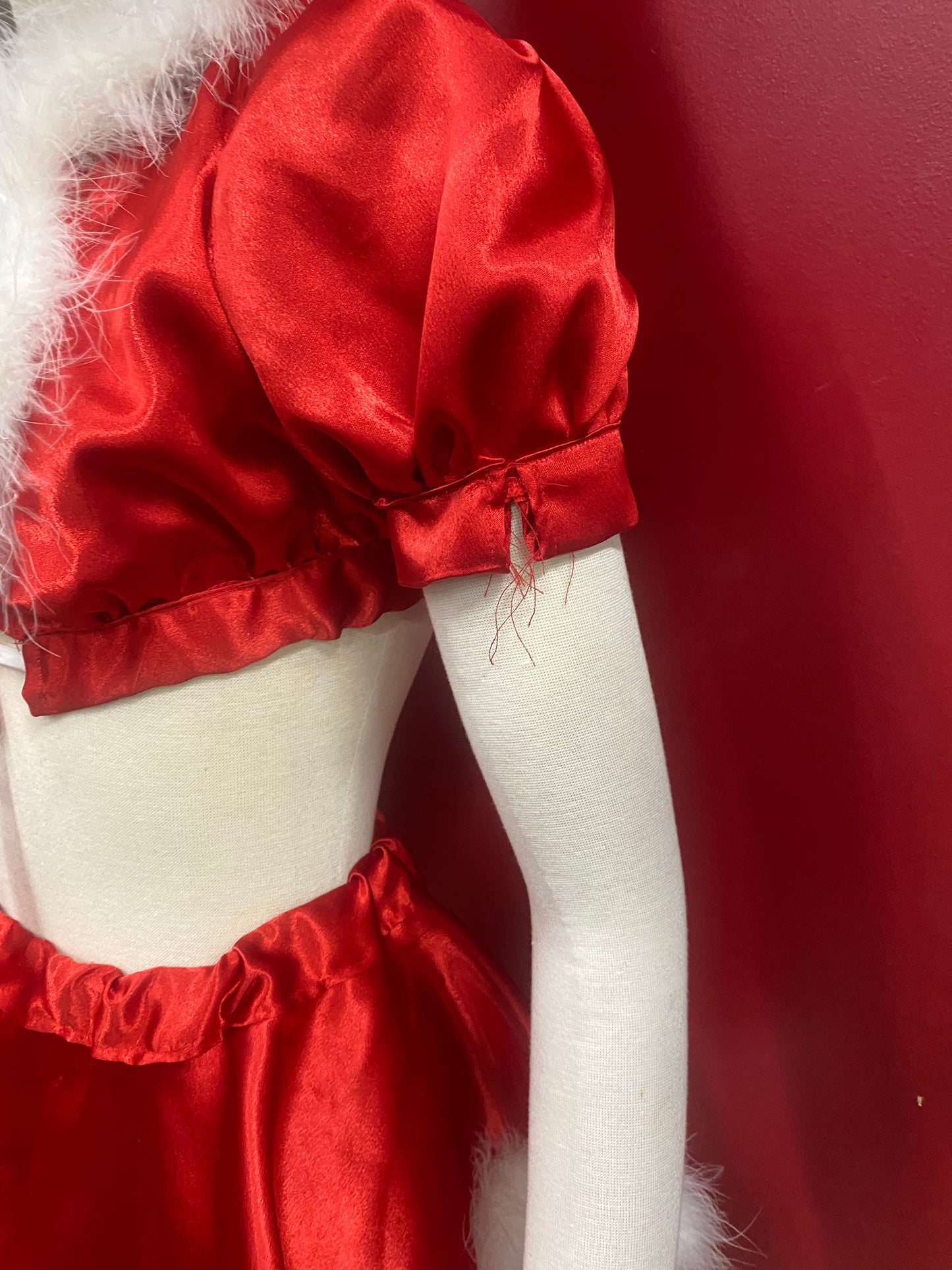 Small Santa's Little Helper Costume