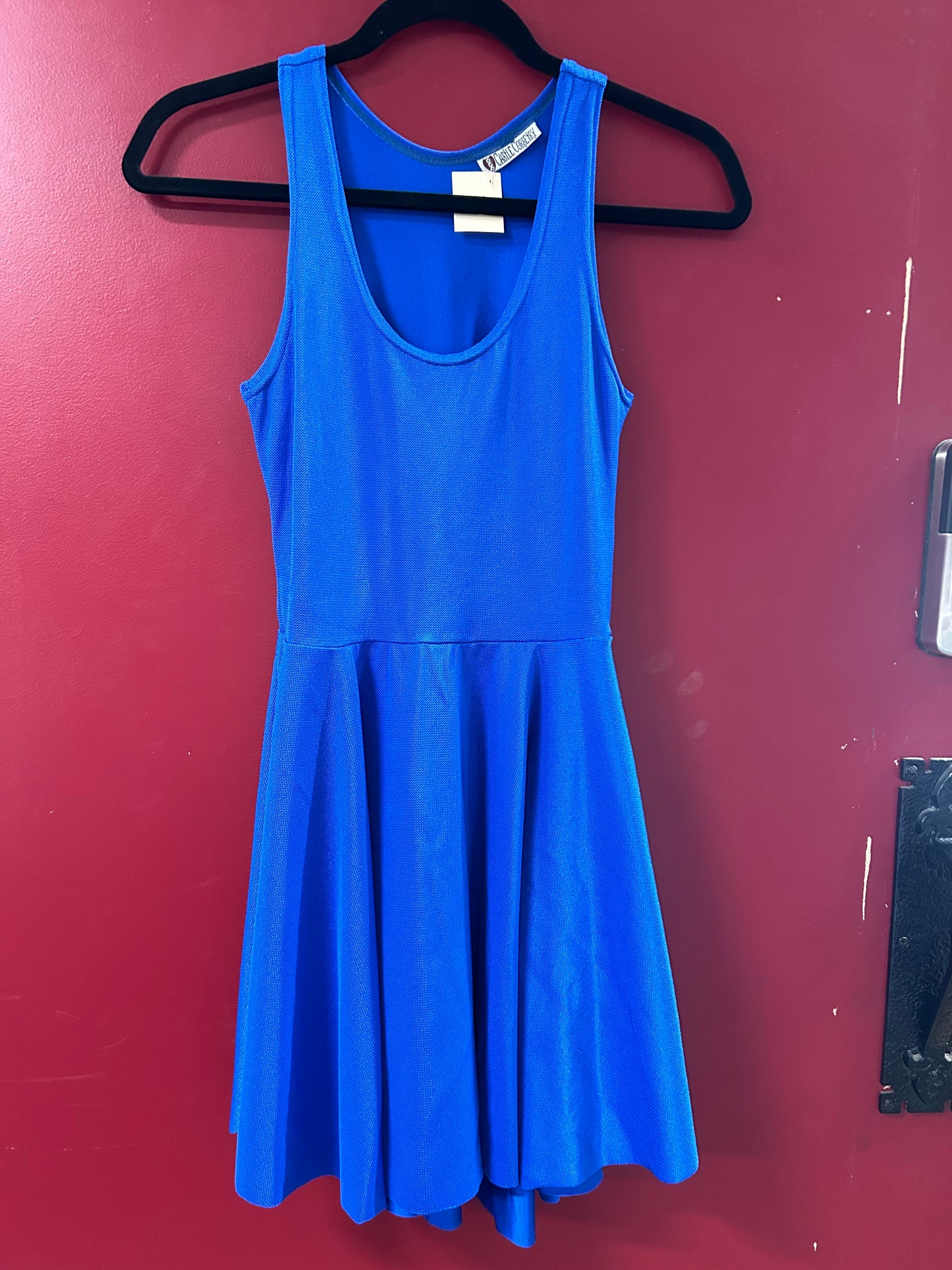 Small Royal Blue Skater Dress